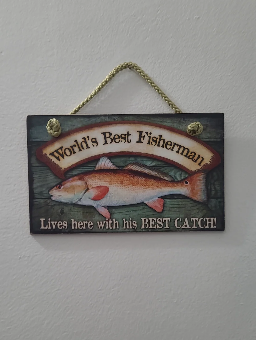 World's Best Fisherman Wall Sign - Green/Brown
